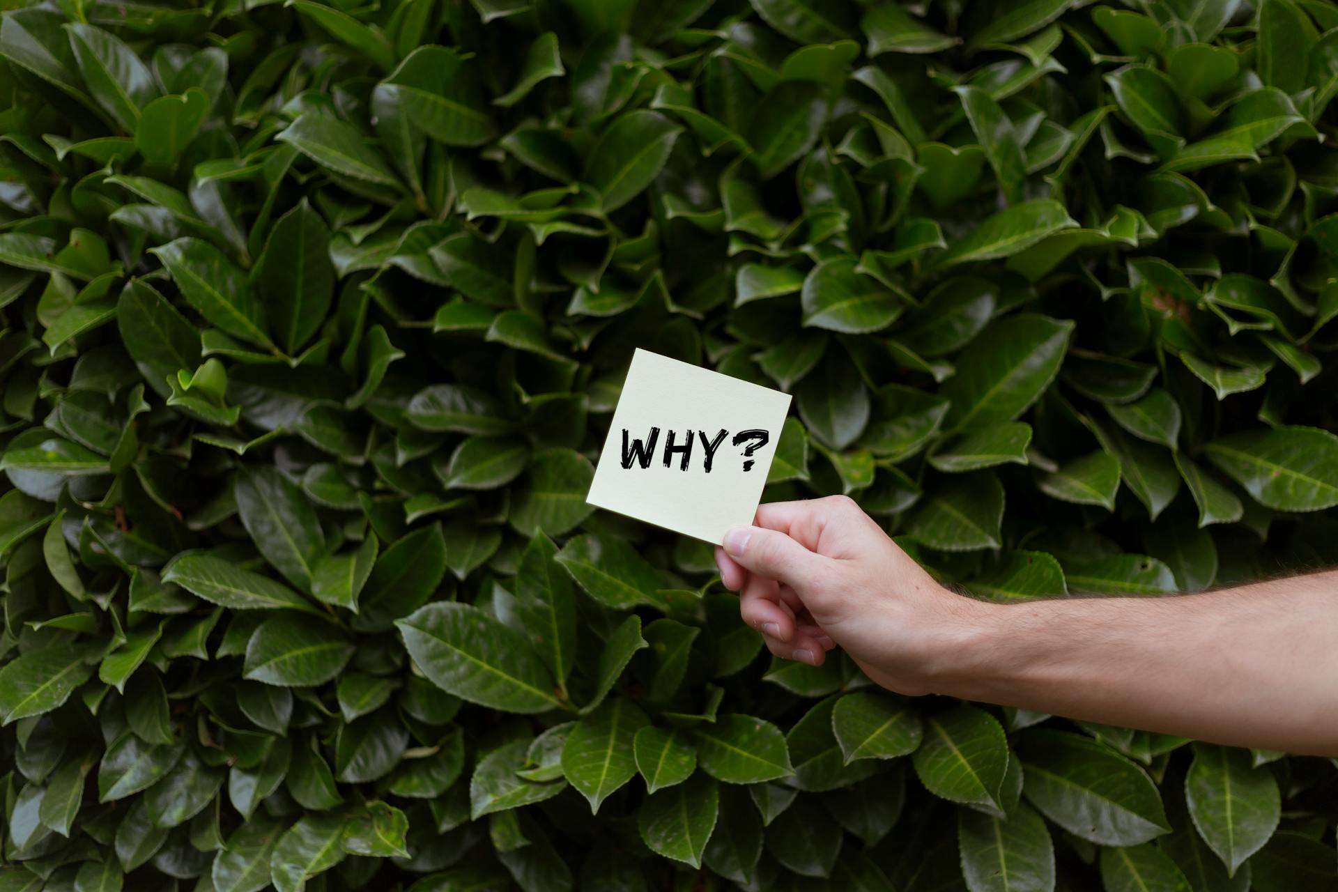 Do you really need an online E Commerce store?